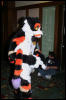 [DexCat MFF2006 017]