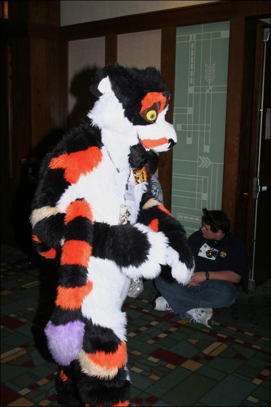 [DexCat_MFF2006_017.jpg]