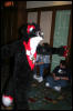 [DexCat MFF2006 018]