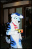 [DexCat MFF2006 020]