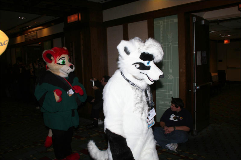 [DexCat_MFF2006_021.jpg]