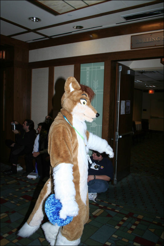 [DexCat_MFF2006_022.jpg]