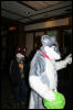 [DexCat MFF2006 023]