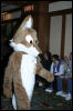 [DexCat MFF2006 025]