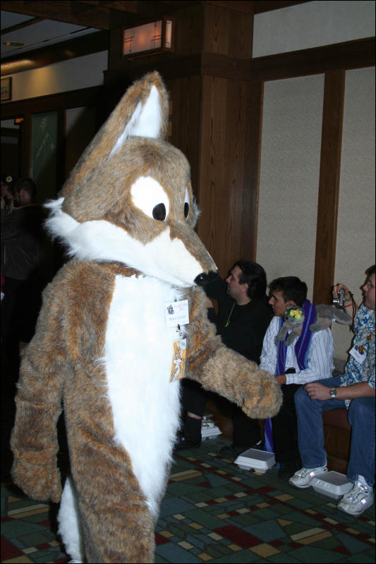 [DexCat_MFF2006_025.jpg]