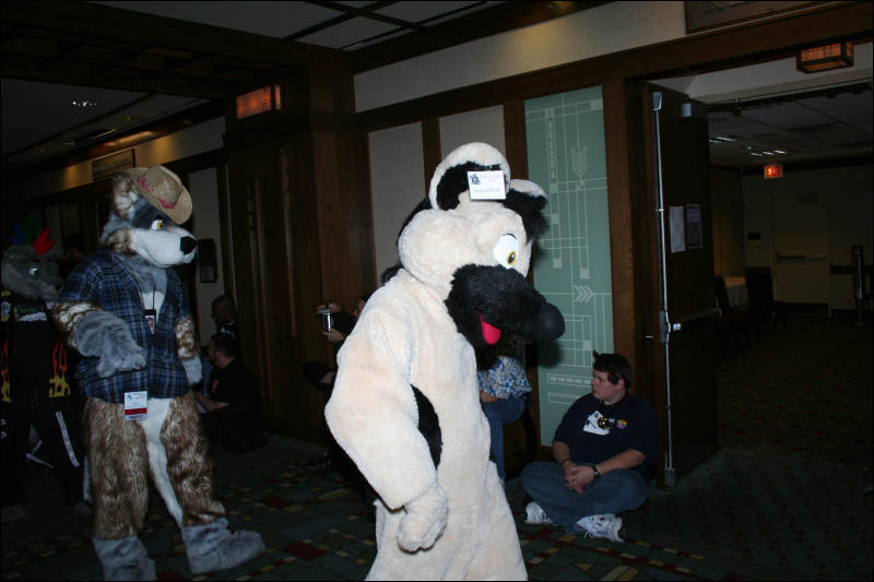 [DexCat_MFF2006_026.jpg]