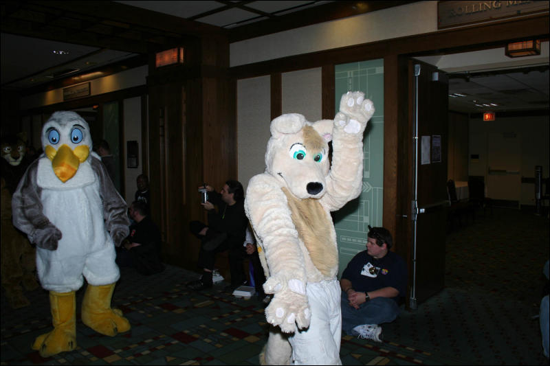 [DexCat_MFF2006_030.jpg]