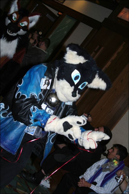 [DexCat_MFF2006_035.jpg]