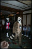 [DexCat MFF2006 036]