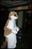 [DexCat MFF2006 037]