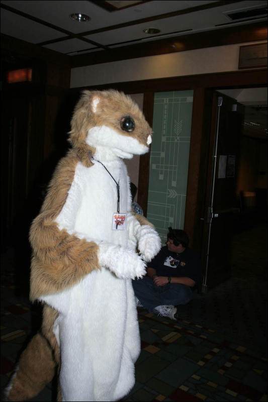 [DexCat_MFF2006_037.jpg]