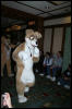 [DexCat MFF2006 038]