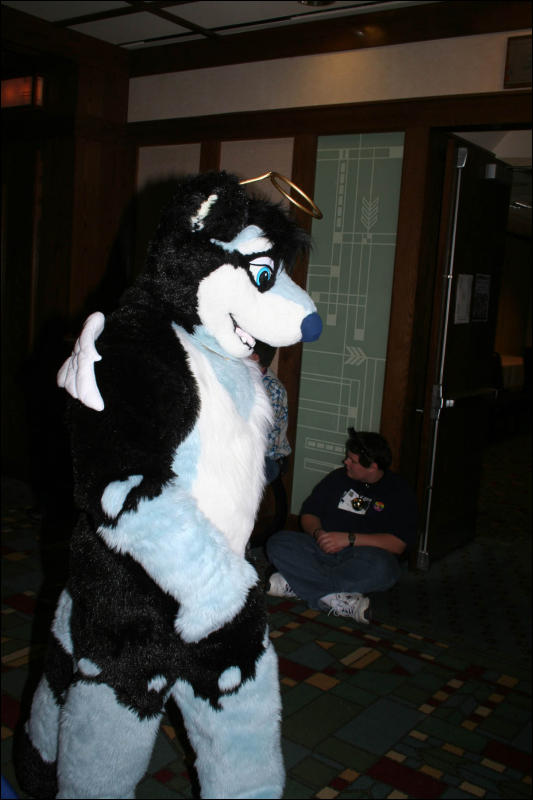 [DexCat_MFF2006_041.jpg]