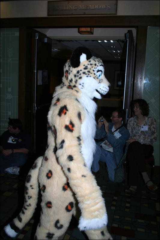 [DexCat_MFF2006_042.jpg]