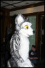 [DexCat MFF2006 044]