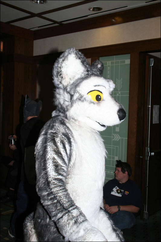 [DexCat_MFF2006_044.jpg]