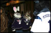 [DexCat MFF2006 048]