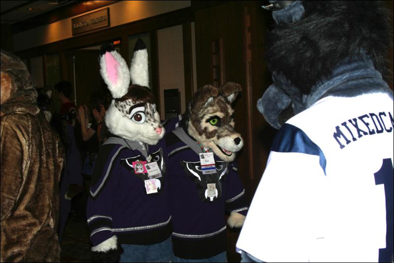 [DexCat_MFF2006_048.jpg]