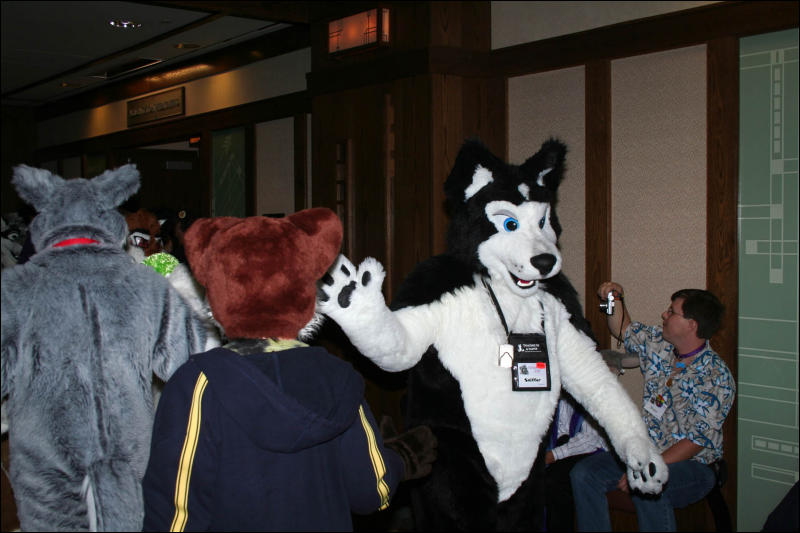 [DexCat_MFF2006_056.jpg]