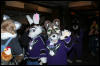 [DexCat MFF2006 065]