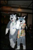 [DexCat MFF2006 067]