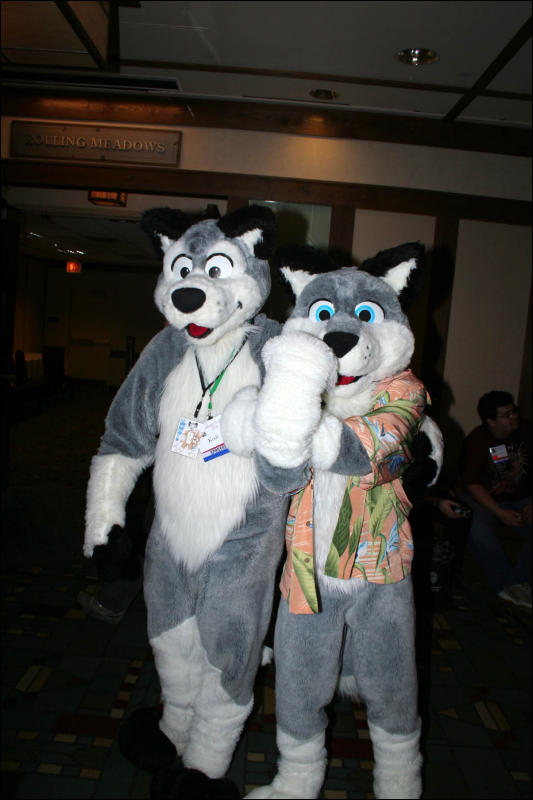 [DexCat_MFF2006_067.jpg]