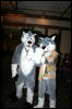 [DexCat MFF2006 068]