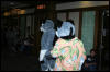 [DexCat MFF2006 069]