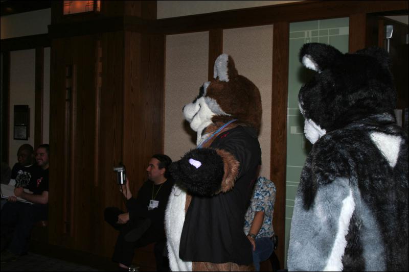 [DexCat_MFF2006_070.jpg]