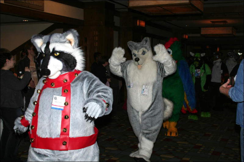 [DexCat_MFF2006_073.jpg]