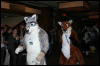 [DexCat MFF2006 074]