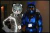 [DexCat MFF2006 081]