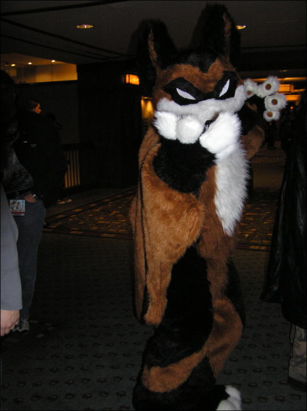 [Dia_MFF2006_007.jpg]