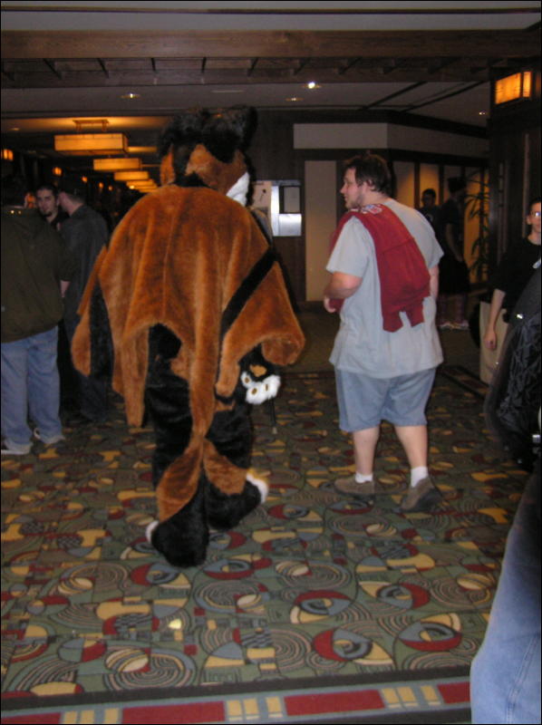 [Dia_MFF2006_008.jpg]