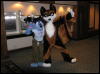 [Dia MFF2006 012]