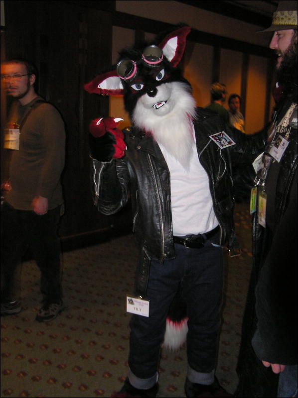 [Dia_MFF2006_017.jpg]