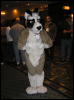 [Dia MFF2006 021]