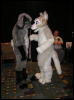 [Dia MFF2006 045]