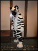 [Dia MFF2006 047]