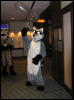 [Dia MFF2006 054]