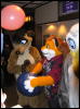 [Dia MFF2006 057]