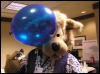 [Dia MFF2006 060]