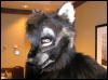 [Dia MFF2006 063]