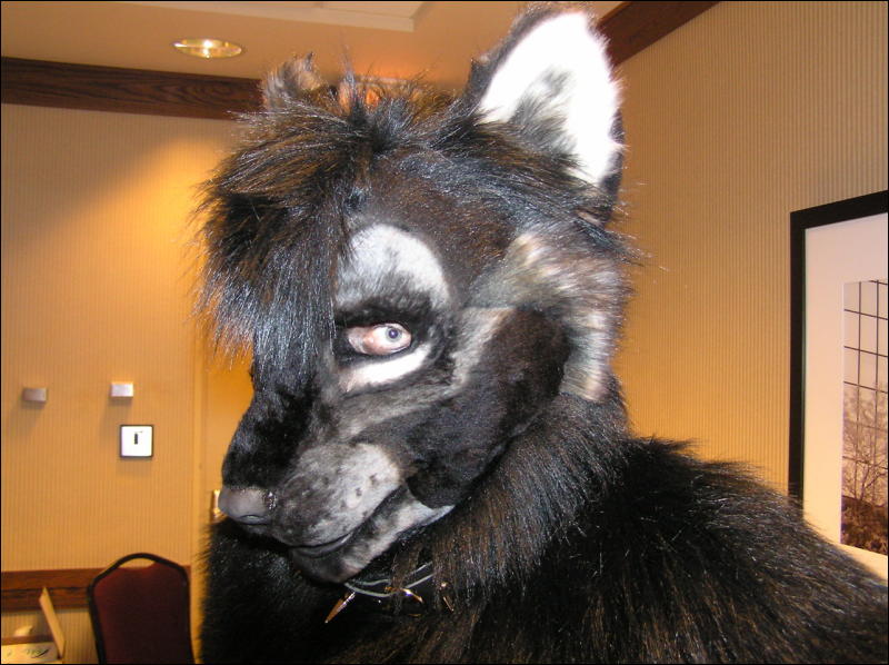 [Dia_MFF2006_063.jpg]