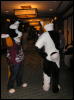 [Dia MFF2006 069]