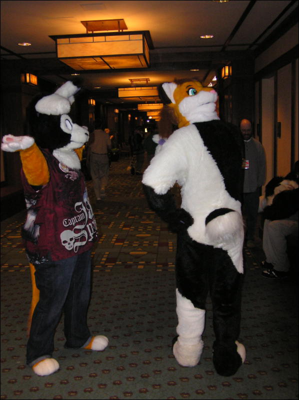 [Dia_MFF2006_069.jpg]