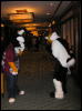 [Dia MFF2006 070]