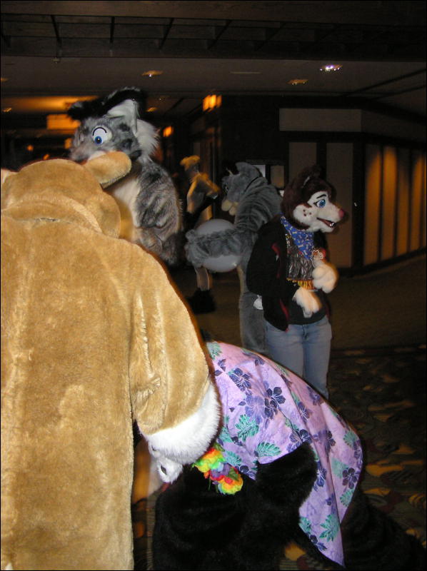 [Dia_MFF2006_077.jpg]