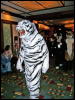 [Macwolf MFF2006 021]