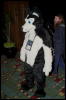 [Orzel MFF2006 006]